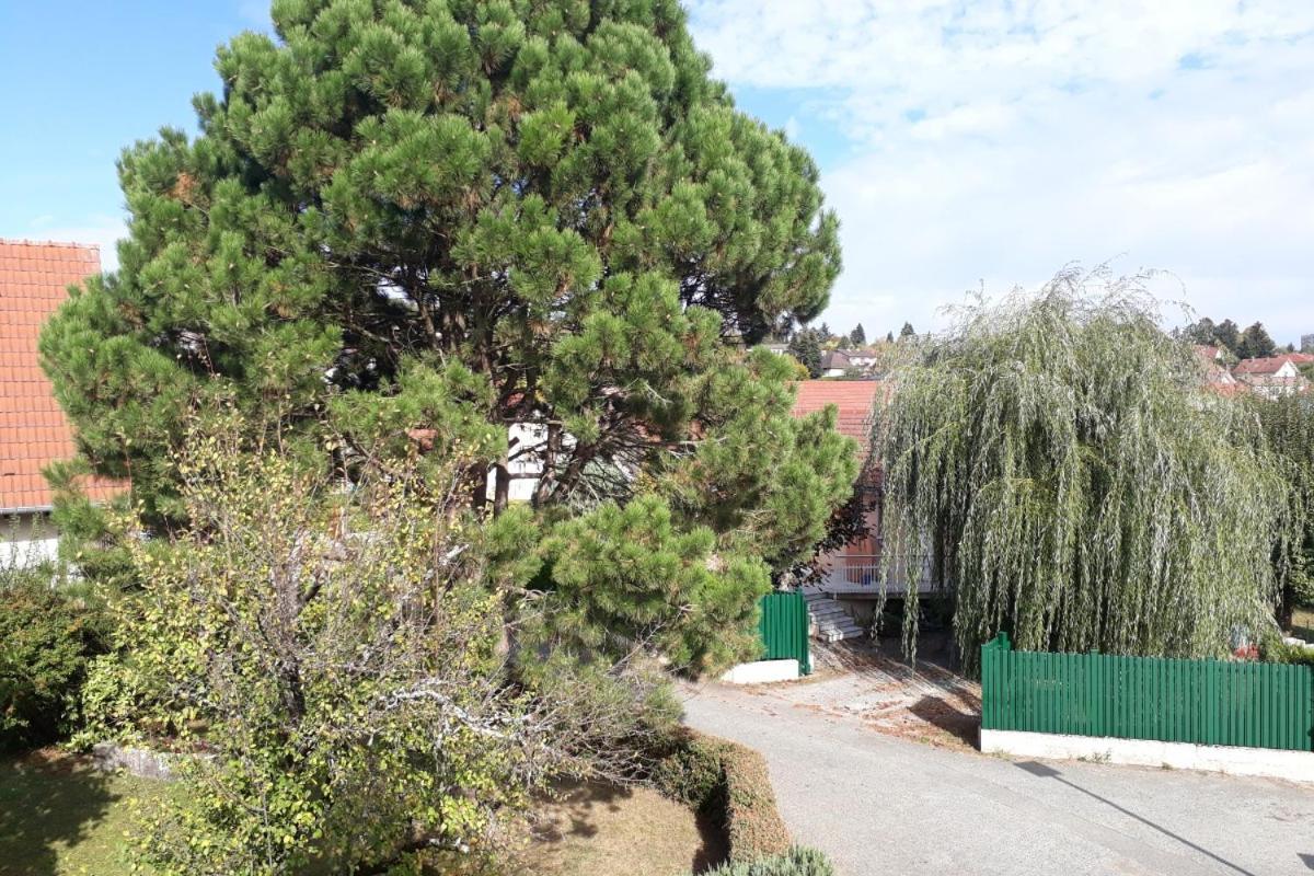 Appartement Independant A Proximite De Belfort Essert Bagian luar foto